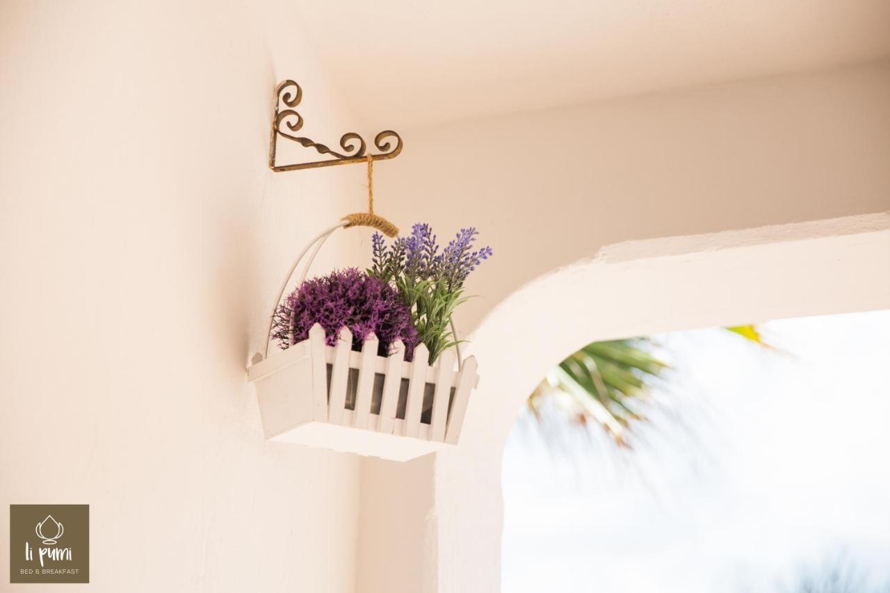 B&B Li Pumi Alliste Bagian luar foto